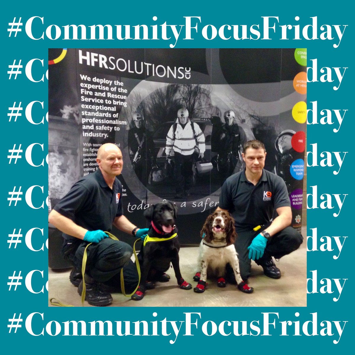 HFRSolutionsCIC's tweet photo. #CommunityFocusFriday🤝

We supported a @HumbersideFire initiative to recruit and train 2 Fire Accelerant Detection Dogs🐕‍🦺

We provided a donation to help assist with initial training and licencing of the dogs, who now provide a vital support role within fire detection for HFRS⛑ https://t.co/ujBbmHgBkh