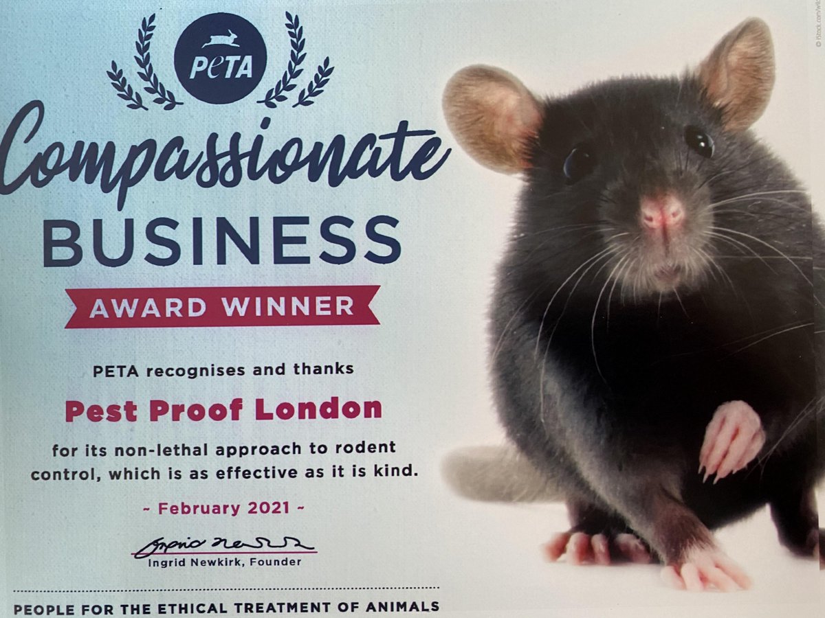 PestProofLondon's tweet photo. We are incredibly proud to announce this news! We have been given an award by @peta for our pioneering and ground-breaking work into humane pest control alternatives.
https://t.co/jkXZ4PZpsr
#pestcontrol
#humanepestcontrol
@PETAUK
@peta https://t.co/rzUA1ILBqO