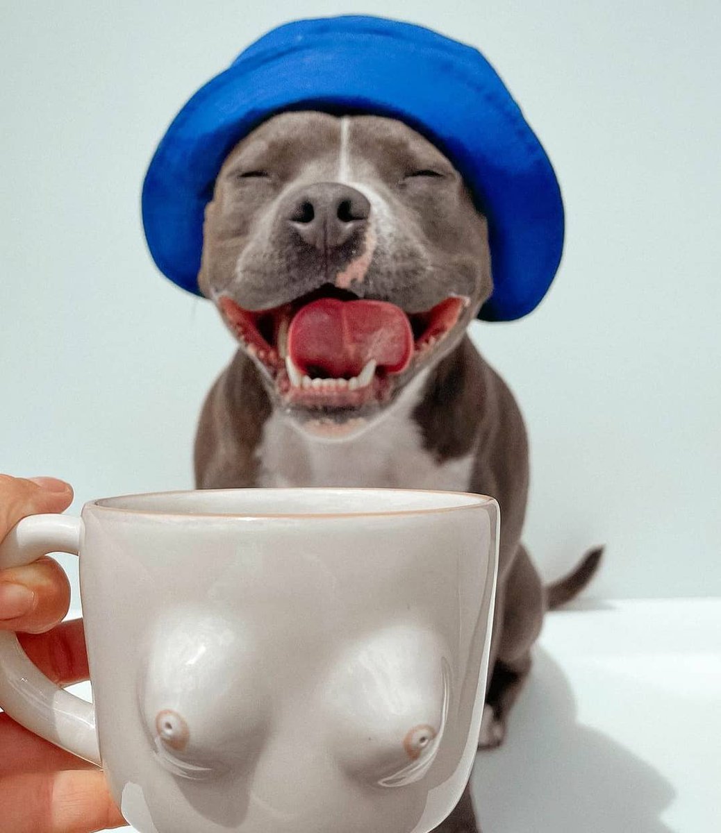 pured0g's tweet photo. Nice coffee cup mum😂⚡⚡😌🐶

#dogcafe #dogtreats #doglover #dogfriendly #dogfriendlycafe #petcafe #mydogscafe #petfriendly #petfriendlycafe #mydogscafeandbar #dogbakery #hamont #lockestshops #dogcafehamilton #mydogscafehamilton #burlon #lockestreet #oakville #dogfood https://t.co/NIyH2tasoj