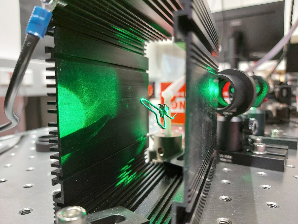 Isaac Lenton tweet media