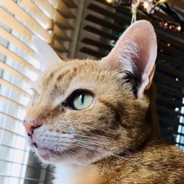 Marmslife's tweet photo. This is my best side!  #NewProfilePic https://t.co/vLf5LUb5mc