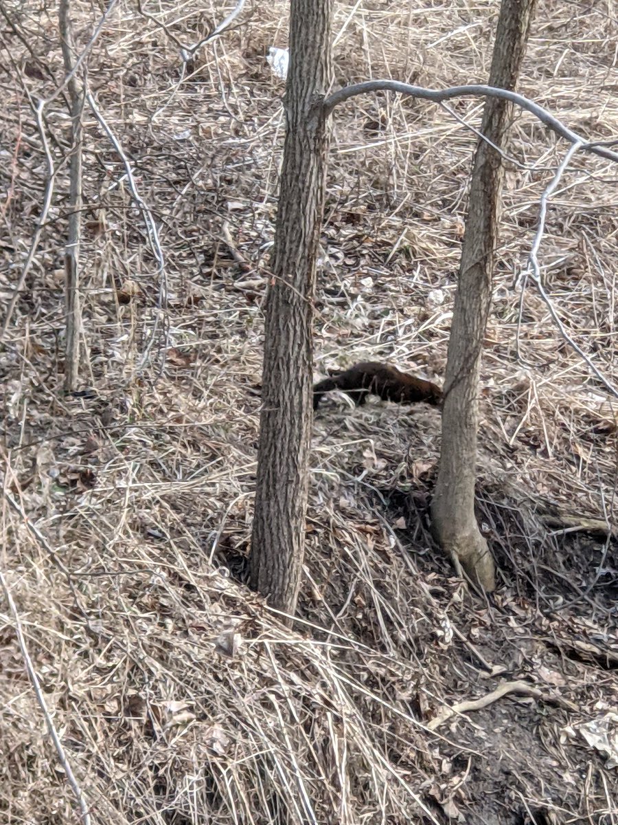 Sam Kern tweet media