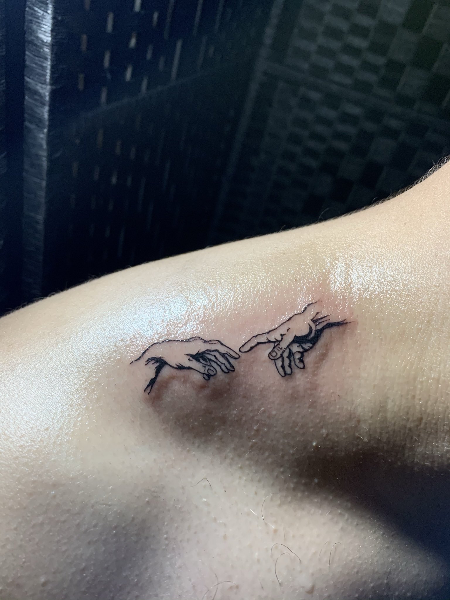 Ink N Roses on Twitter Cats of creation   tattoo tattoos ink  inked tattooing tattoosinegypt cairotattoo tattoochallenge  tattooartistegypt hurghada egyptiantattoosartist inknroses  httpstcokNDrQ1T69f  Twitter