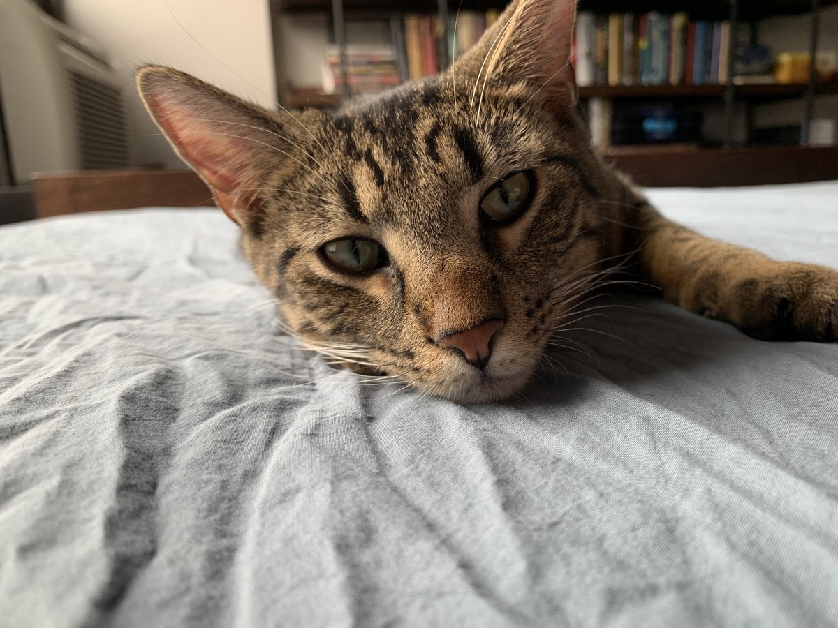 Dennis Kerr tweet media