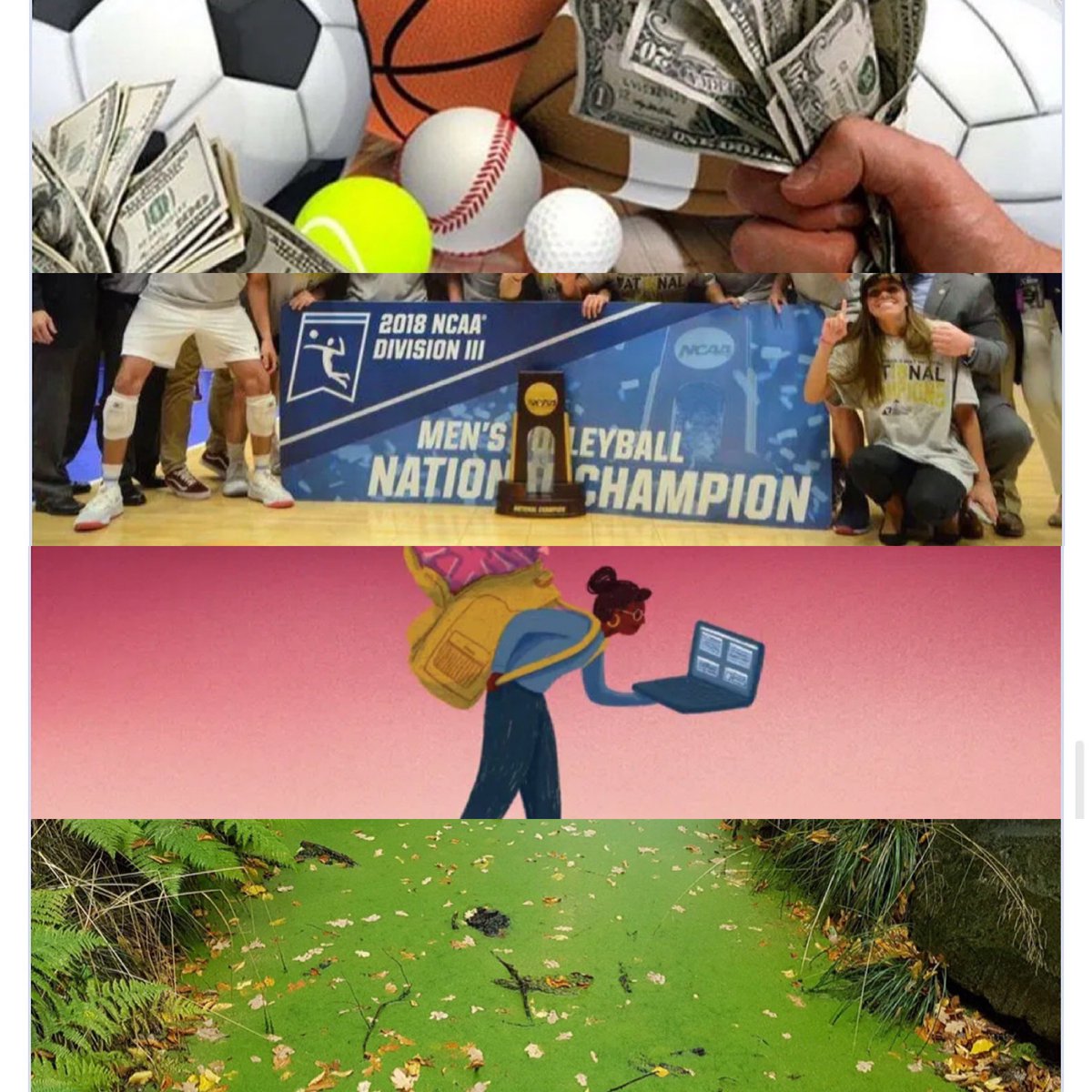 SC114Review's tweet photo. More incredible work from @SpfldCollege and @SpringfieldLWJ 114 students on their portal to the world: https://t.co/tPbQG2Wr6a #nba #gambling #falcons #atl #environnement #vaccine #volleyball #collegesports #COVID19 https://t.co/7mcnMwrWCJ