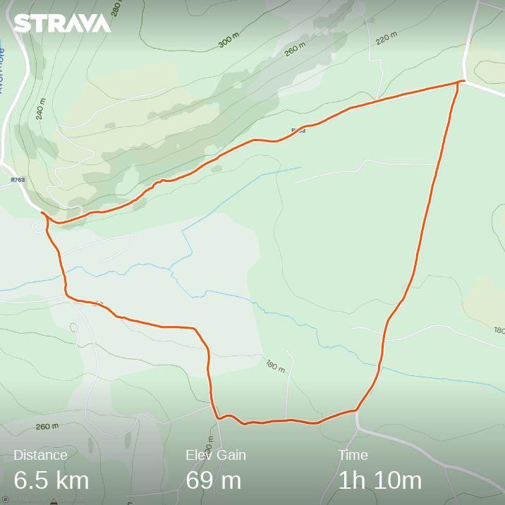 JuJuJay3's tweet photo. Happy Friday with two nice walks with friends &amp; doggies all before the lovely Irish rain!!

#WalkingFromHome #walkyourdogs #mansbestfriend #doggies #testedtough #FridayFeeling #FriendsForever https://t.co/cA3XLDknv8