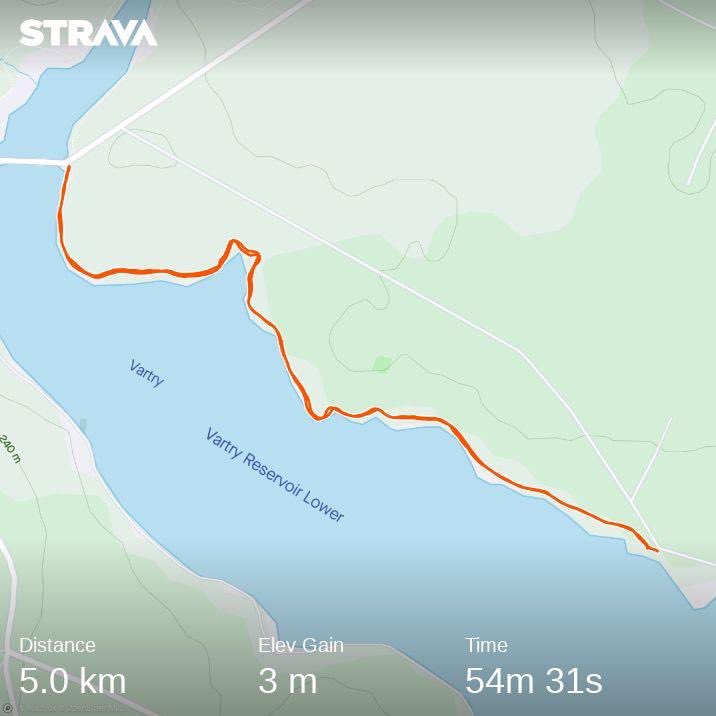 JuJuJay3's tweet photo. Happy Friday with two nice walks with friends &amp; doggies all before the lovely Irish rain!!

#WalkingFromHome #walkyourdogs #mansbestfriend #doggies #testedtough #FridayFeeling #FriendsForever https://t.co/cA3XLDknv8