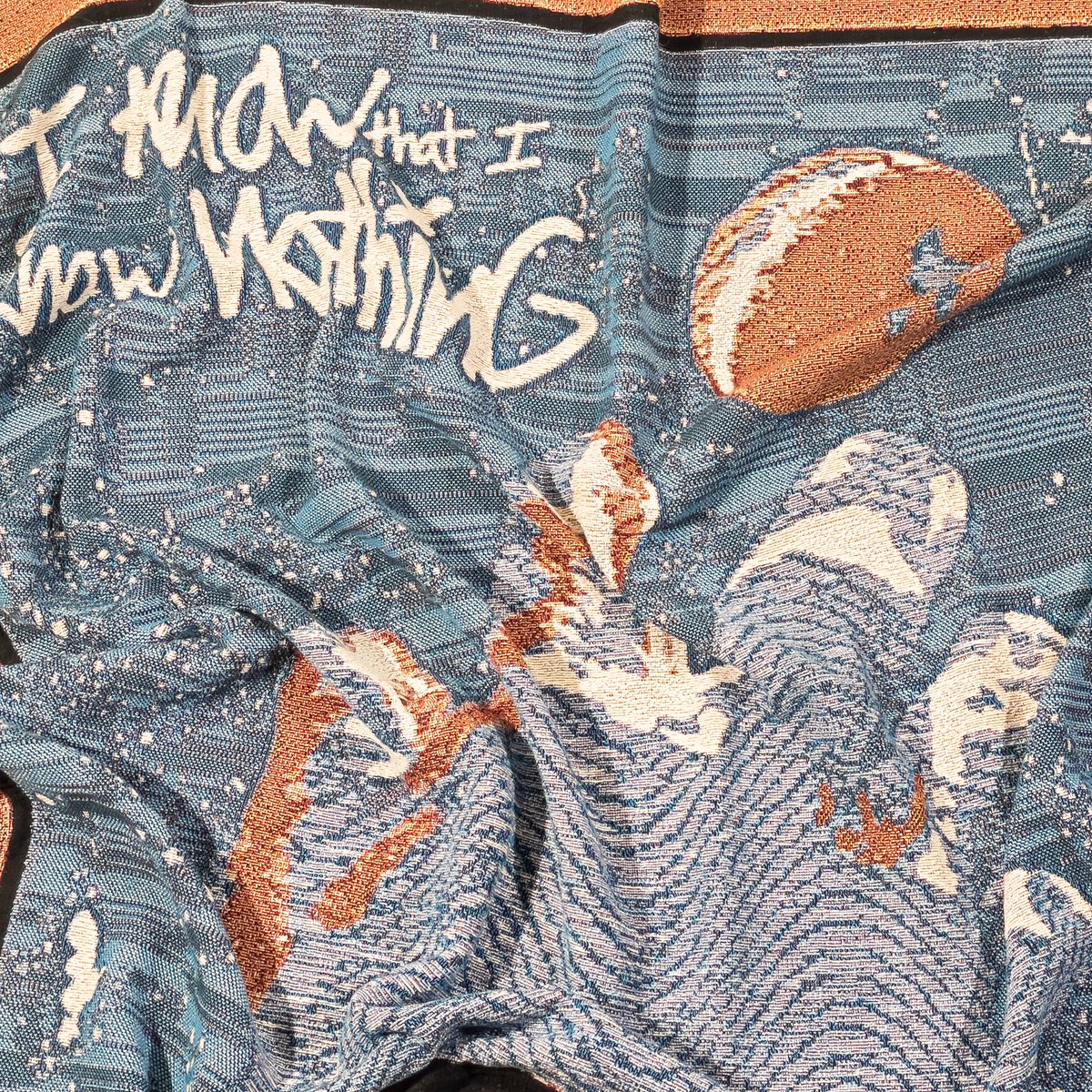 Know Nothing tweet media