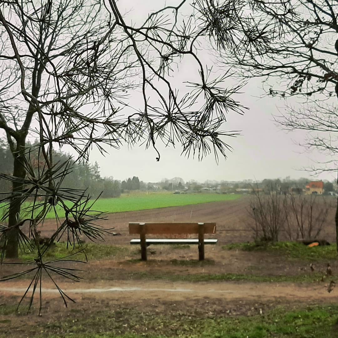 Bureau_RIS's tweet image. Wat is er passender dan na een goed gesprek over ontwerpen van sensorisch #beleeftuin voor ernstig zieke kinderen het naastgelegen bos in te duiken om tijdens een flinke regenbui de boslucht op te snuiven... #boswandeling #Elst #heuvelrug #groendoetgoed #groenontzorgd #zintuigen