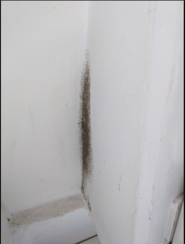 FlyingFreshLife's tweet image. Well done @Airbnb, you get the award for the worst travel experience of my life! Booked an apartment for 2 months, it turned out to be infested with black mold. Airbnb wouldn't refund me despite providing evidence. Still suffering health effects weeks after. Great job Airbnb!😡🤢