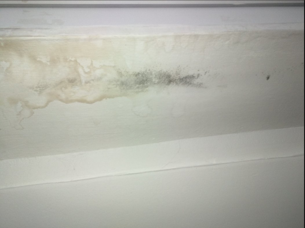FlyingFreshLife's tweet image. Well done @Airbnb, you get the award for the worst travel experience of my life! Booked an apartment for 2 months, it turned out to be infested with black mold. Airbnb wouldn't refund me despite providing evidence. Still suffering health effects weeks after. Great job Airbnb!😡🤢