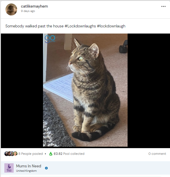 GoPoolit's tweet photo. Aaaaand the winner of the #LockdownLaugh Challenge is...
catlikemayem and this deserving scaredy-cat!
In addition to raising money for @Mums_In_Need, you will also receive a £30 Amazon Voucher or case of Corona! A big thank you to everyone who took part😃
#SocialMediaForGood https://t.co/XnnsM2pGvU