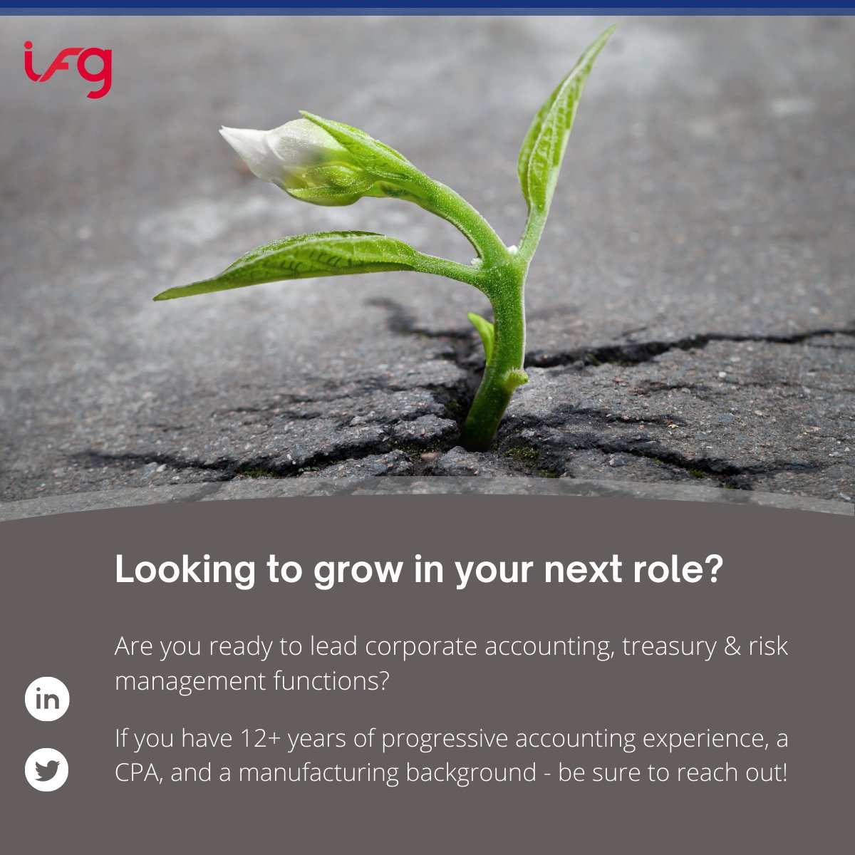 IFG_Chicago's tweet photo. Are you ready for a groundbreaking opportunity?! We have a #CorporateController role with one of our fastest-growing clients that you will want to hear more about!
📧Please send inquiries & resumes to: Stacy.Seuam@ifgpr.com
#CPA required #Controller #Opportunity #Hiring https://t.co/V8uPqd4HGt