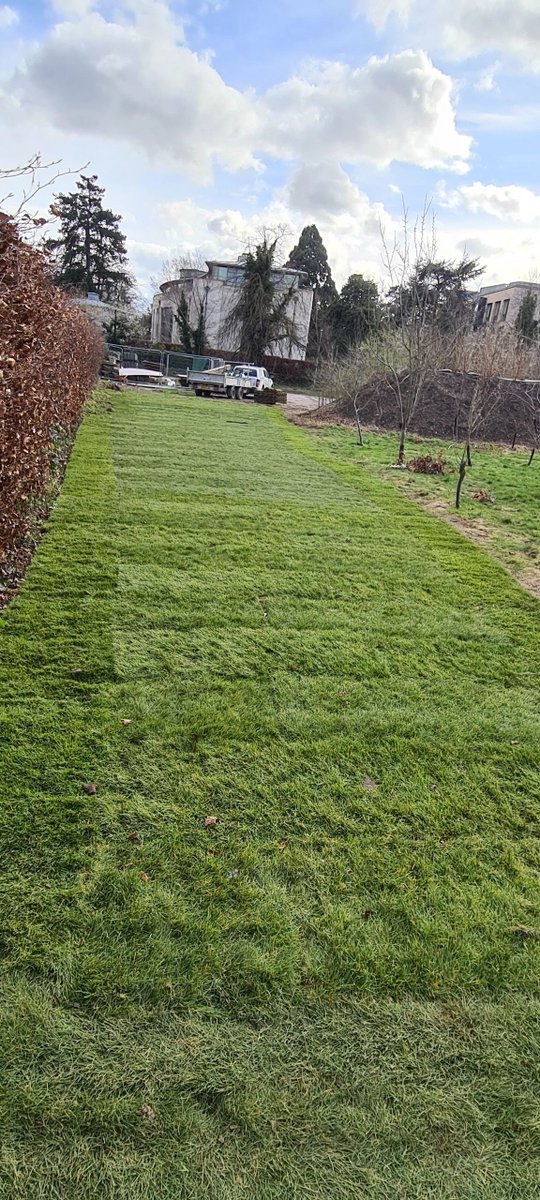 ProjectLandsca3's tweet image. We have had the pleasure of working at kings college in Cambridge again.
1000m2 of turf laid around the student accommodation completed within 5 days.