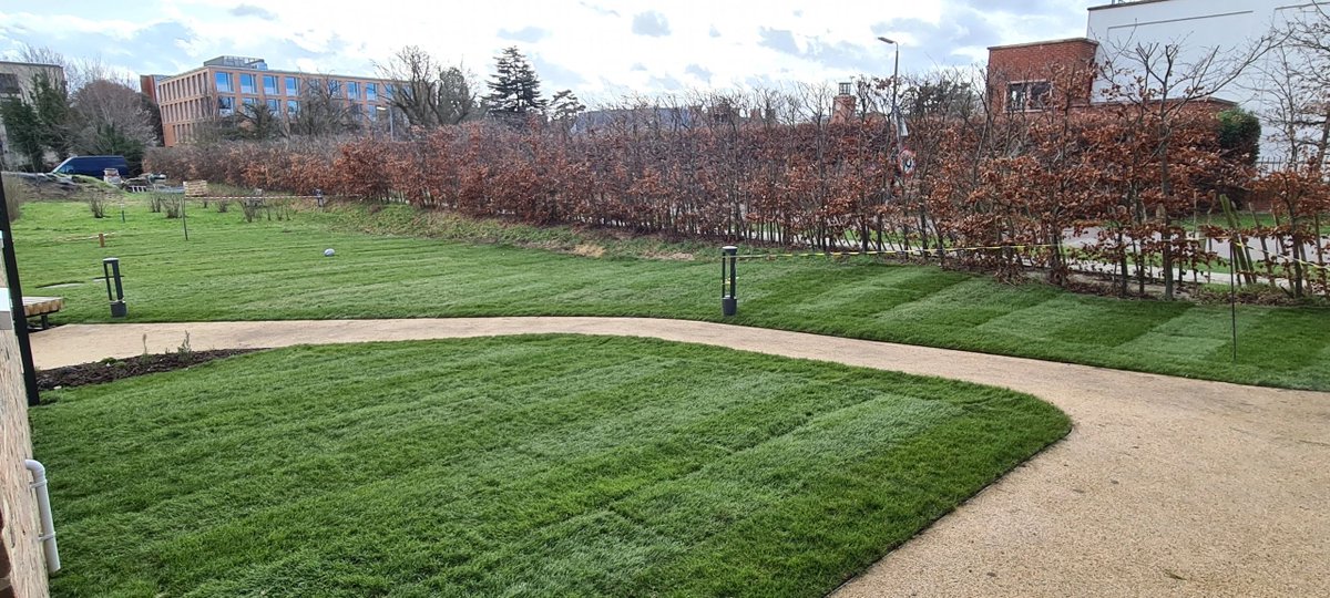 ProjectLandsca3's tweet image. We have had the pleasure of working at kings college in Cambridge again.
1000m2 of turf laid around the student accommodation completed within 5 days.