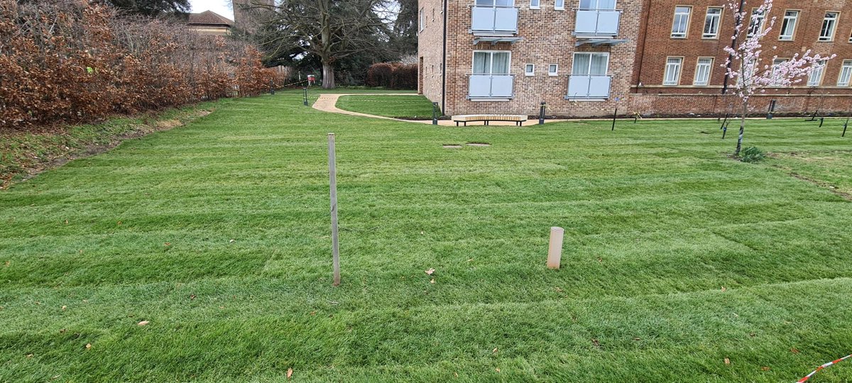 ProjectLandsca3's tweet image. We have had the pleasure of working at kings college in Cambridge again.
1000m2 of turf laid around the student accommodation completed within 5 days.