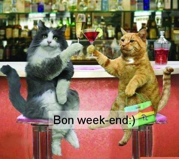 SEG_France's tweet photo. Bon week-end à tous! Reposez vous bien!😊😊😊
#weekend #weekendmood #weekendvibes #reposez https://t.co/SKHjnK2slz