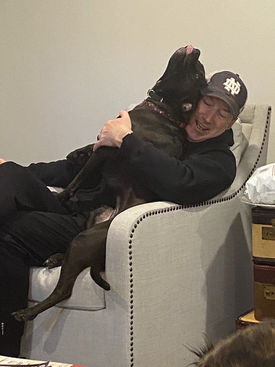 WhalenSue's tweet photo. Killer pittie. #daddysgirl #heisallmine #lulu https://t.co/iPSXBpjuCd