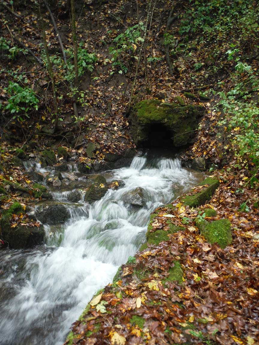 WGNHS's tweet photo. In 2017, WGNHS conducted an inventory of large springs throughout Wisconsin and recorded over 400! Springs are points of groundwater discharge and can help researchers gather vital information about groundwater elevation. #WisconsinWaterWeek
Learn more: https://t.co/2vv3ZREZV4 https://t.co/JnDme7VcfI