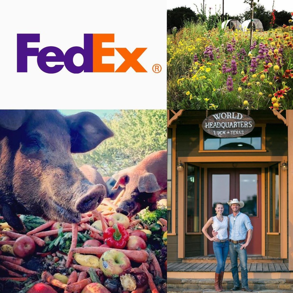 Help TerraPurezza win the FedEx Small Business Grant Contest with your vote! Voting period starts today & goes through March 24th. Limited to one vote per email address every 24 hours. Please vote every day!! Thank you for your ongoing support. #LuckTexas
smallbusinessgrant.fedex.com/entry/FsLFapJL…