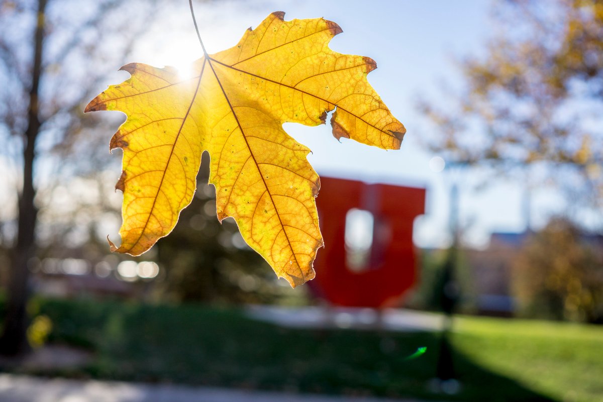 UofUProvost's tweet image. Note: We will postpone publishing the Fall 2021 Class Schedule until March 29 to allow time to shift courses to in-person modalities. This is a hopeful sign for a healthy and in-person future, #post-pandemic @UUtah. 

Registration starts April 12.

attheu.utah.edu/announcements/…