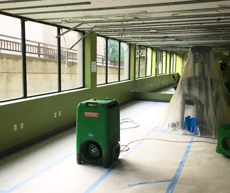 Mold doesn't need very much encouragement to grow. Once it starts, it can spread very quickly. Not only can it cause damage, but it can affect people’s health: servprokansascitymidtownks.com/blog/post/2779…