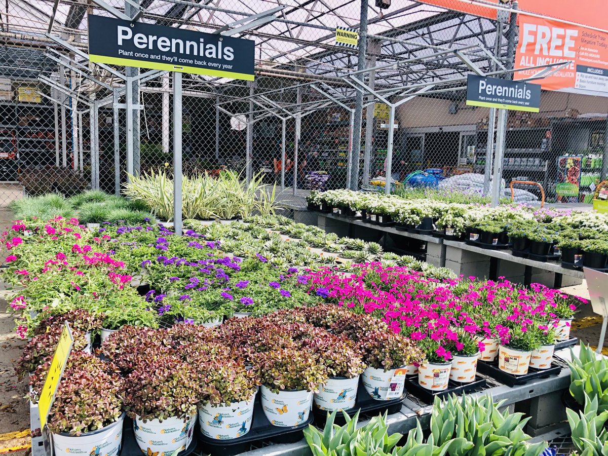 PPSKare's tweet photo. You have more sunlight! Doers are happy. Spring forward, Planting is a part! Just Dig it! THD 3648 Shallotte NC is Springing ⁦@scottburtonthd⁩ ⁦@lumbeelady2004⁩ @thaneasm ⁦@JimSimmonsHD⁩ ⁦@PPSinHD⁩ ⁦@pps_s_atlantic⁩ https://t.co/BjTw5REmtr