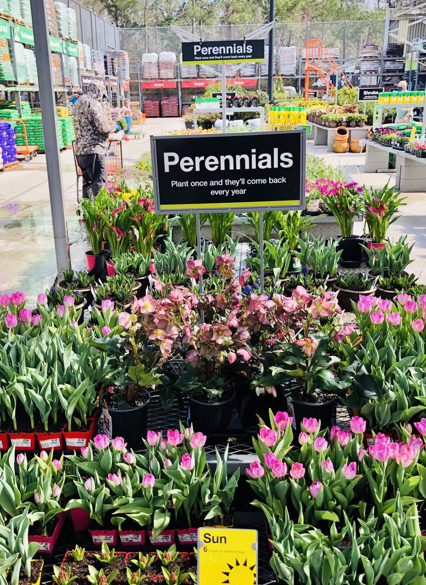 You have more sunlight! Doers are happy. Spring forward, Planting is a part! Just Dig it! THD 3648 Shallotte NC is Springing ⁦@scottburtonthd⁩ ⁦<a href="/lumbeelady2004/">Rachel Leonard</a>⁩ @thaneasm ⁦<a href="/JimSimmonsHD/">Jim Simmons</a>⁩ ⁦@PPSinHD⁩ ⁦<a href="/pps_s_atlantic/">AC</a>⁩