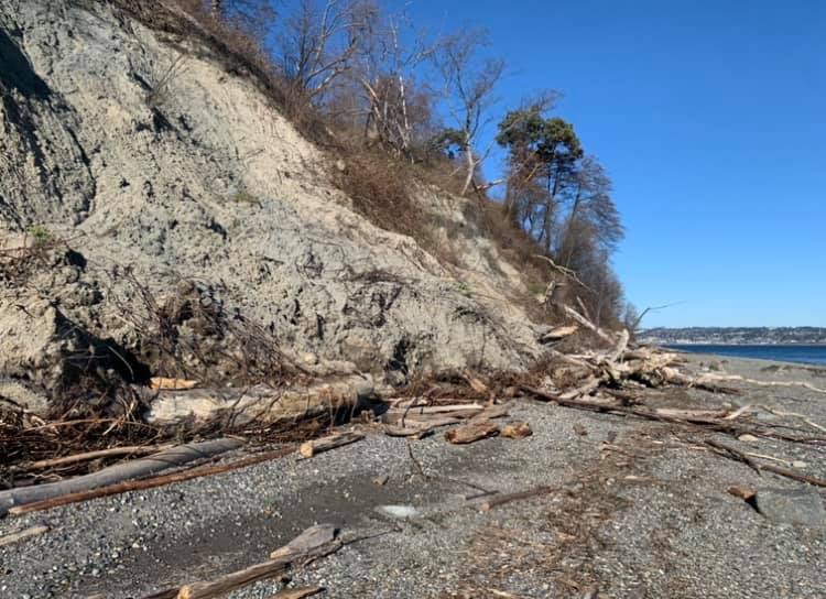 SoundActionNW's tweet photo. Feeder bluff ... feeding! https://t.co/74QThdob42
