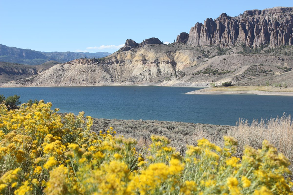 anna_himelstein's tweet photo. Blue Mesa Reservoir CO https://t.co/AQ7ysmjRU6
