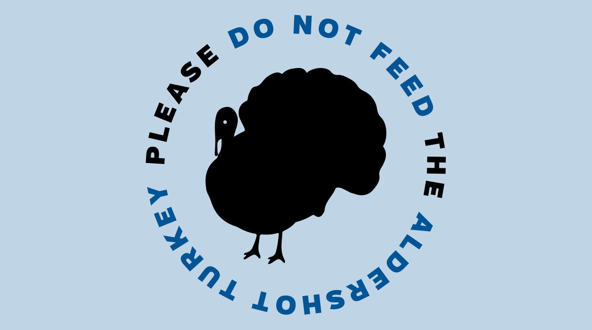 🦃  Let’s talk turkey! Some well-meaning residents are feeding the Aldershot Turkey. She belongs in the wild so please do not feed her so she will go back to the wild where she will be safe. For more info on Animal Services visit burlington.ca/animal. #BurlON