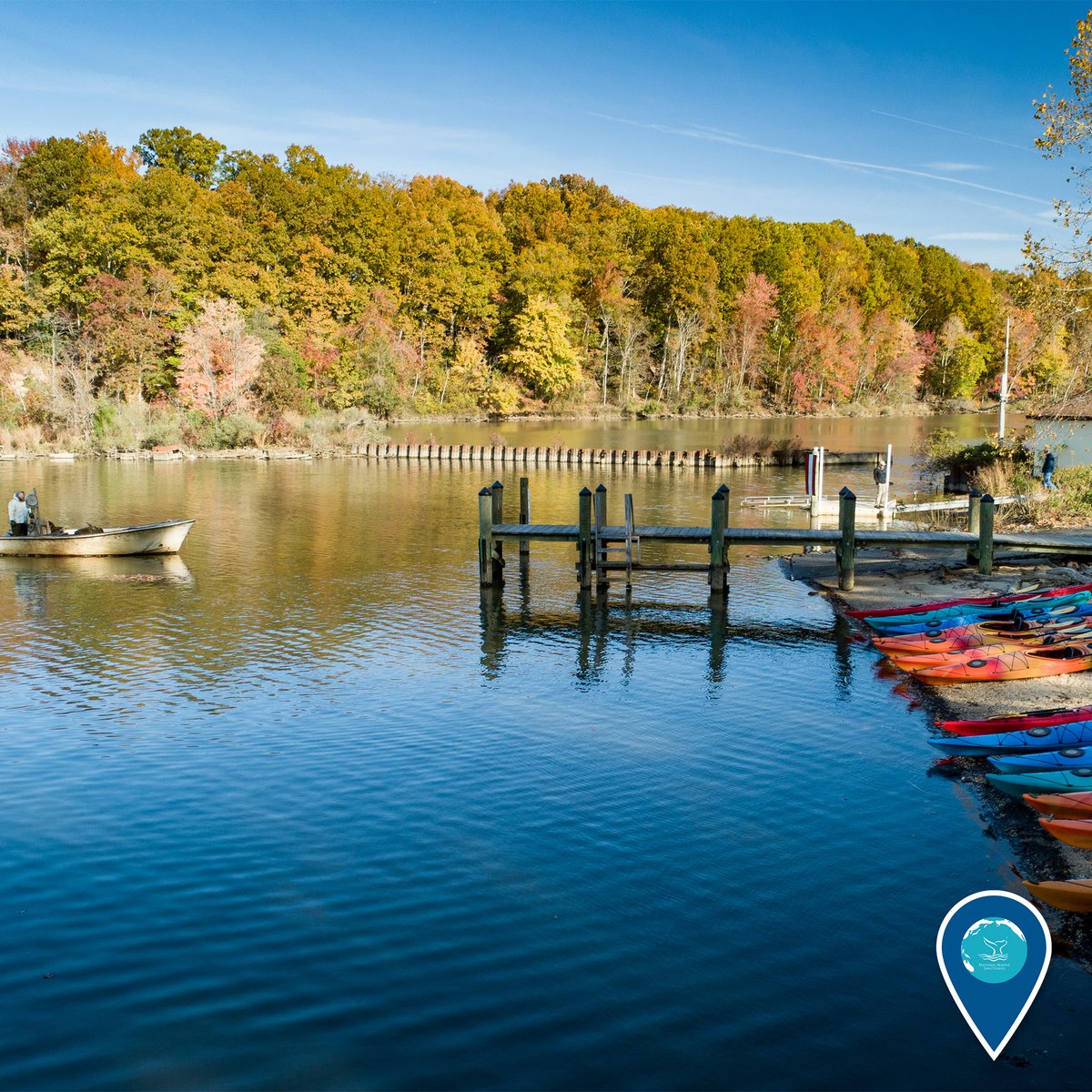 Today is #InternationalDayOfActionForRivers!

Mallows Bay-Potomac River National Marine Sanctuary protects and interprets the remnants of over 100 World War I-era wooden steamships, other maritime resources, and cultural heritage dating back nearly 12,000 years!

#EarthIsBlue