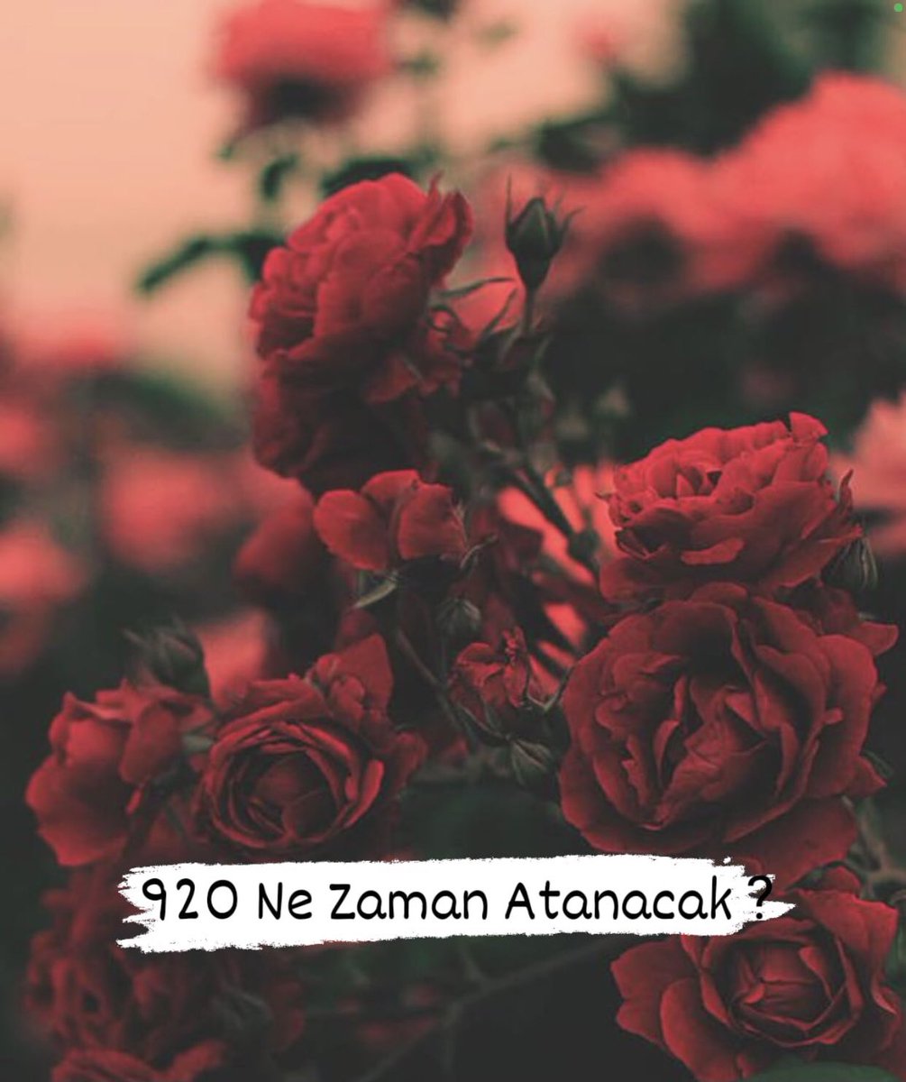 #920ninHakkınıTeslimEtMEB
<a href="/RTErdogan/">Recep Tayyip Erdoğan</a> 
<a href="/ziyaselcuk/">Ziya Selçuk</a>  
<a href="/lutfielvan/">Lütfi Elvan</a> 
<a href="/tcmeb/">Millî Eğitim Bakanlığı</a> 
<a href="/mebpgm/">Personel Genel Müdürlüğü</a>
<a href="/HMBakanligi/">T.C. Hazine ve Maliye Bakanlığı</a>
<a href="/omerinan06/">Ömer İNAN</a> 
<a href="/emrullahisler/">Emrullah İŞLER</a>
Lütfen 920 öğretmen atansın artık.