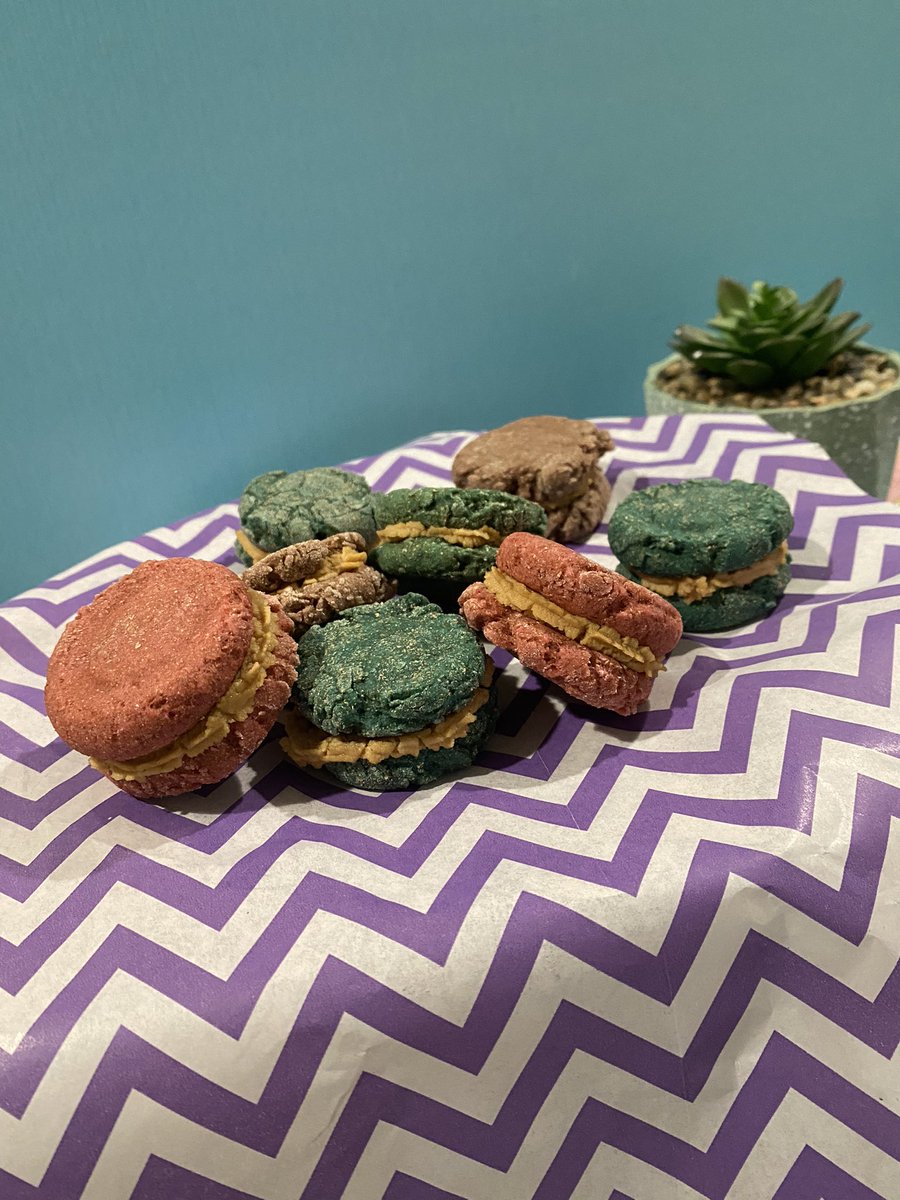BarkBarkery's tweet photo. Bark-a-who? Barkaroons! These yummy dog friendly macaroons are a fav with their peanut butter and yogurt whipped filling! 😋 #dogbakeries #DogsofTwittter #barkbitesbarkery #cujoapproved #doggofav #dogbakery #dallas #dfw https://t.co/1KvkFIKvtQ