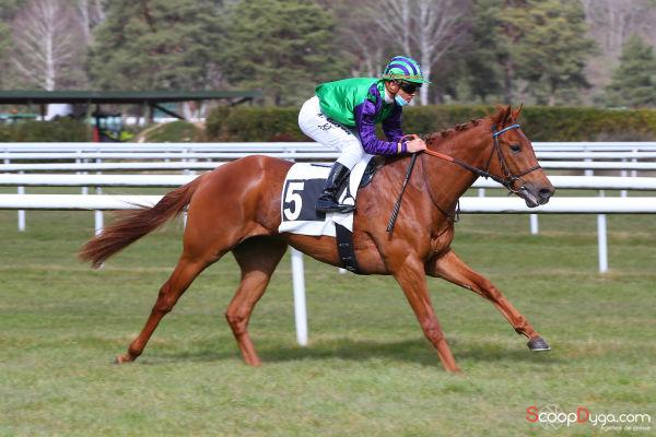 Maxime Guyon (@maximeguyon_off) on Twitter photo 