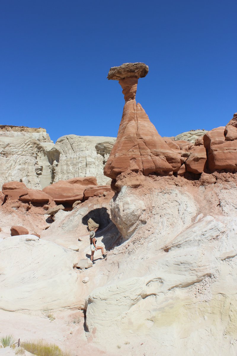 anna_himelstein's tweet photo. Toadstools, Utah Sept 2020
Located in Grand Staircase-Escalante National Monument https://t.co/ki67rfBWbW