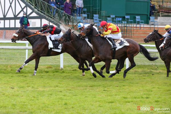 Maxime Guyon (@maximeguyon_off) on Twitter photo 