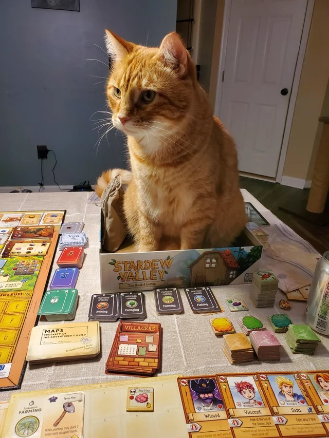 ACNHBrasil's tweet photo. alguém aqui em casa tb quer jogar Stardew Valley https://t.co/CTZ4hYpIOc