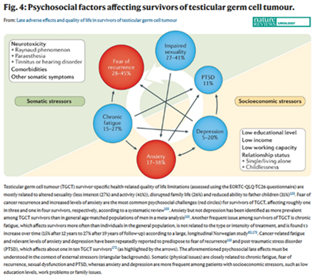 NatRevUrol's tweet photo. #NEWinNRU A team of European experts discuss late adverse effects and quality of life in survivors of TGCT #TesticularCancer https://t.co/mQU5cM2wIA @mikechovanec @DaugaardGedske https://t.co/hfpmuOmic3