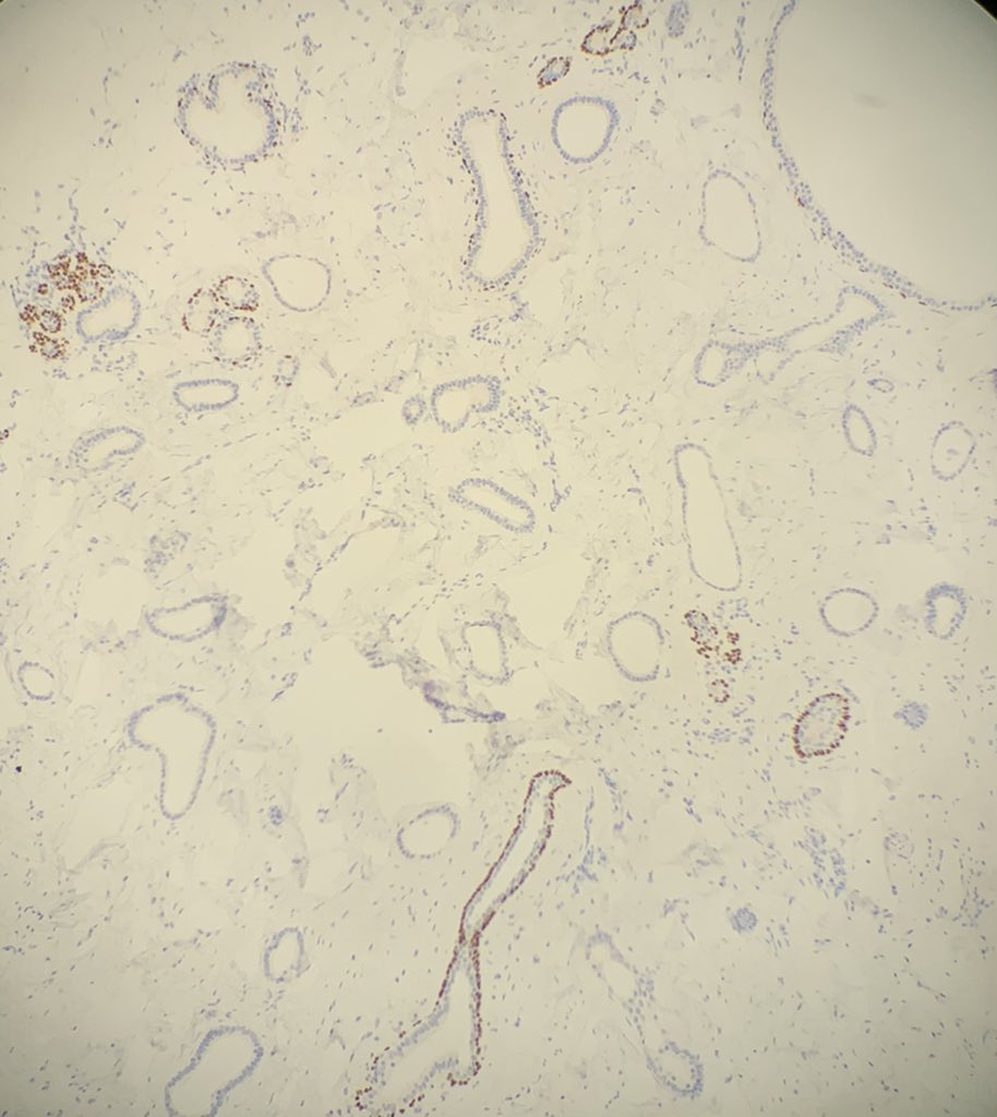 Rama Vidhun tweet media