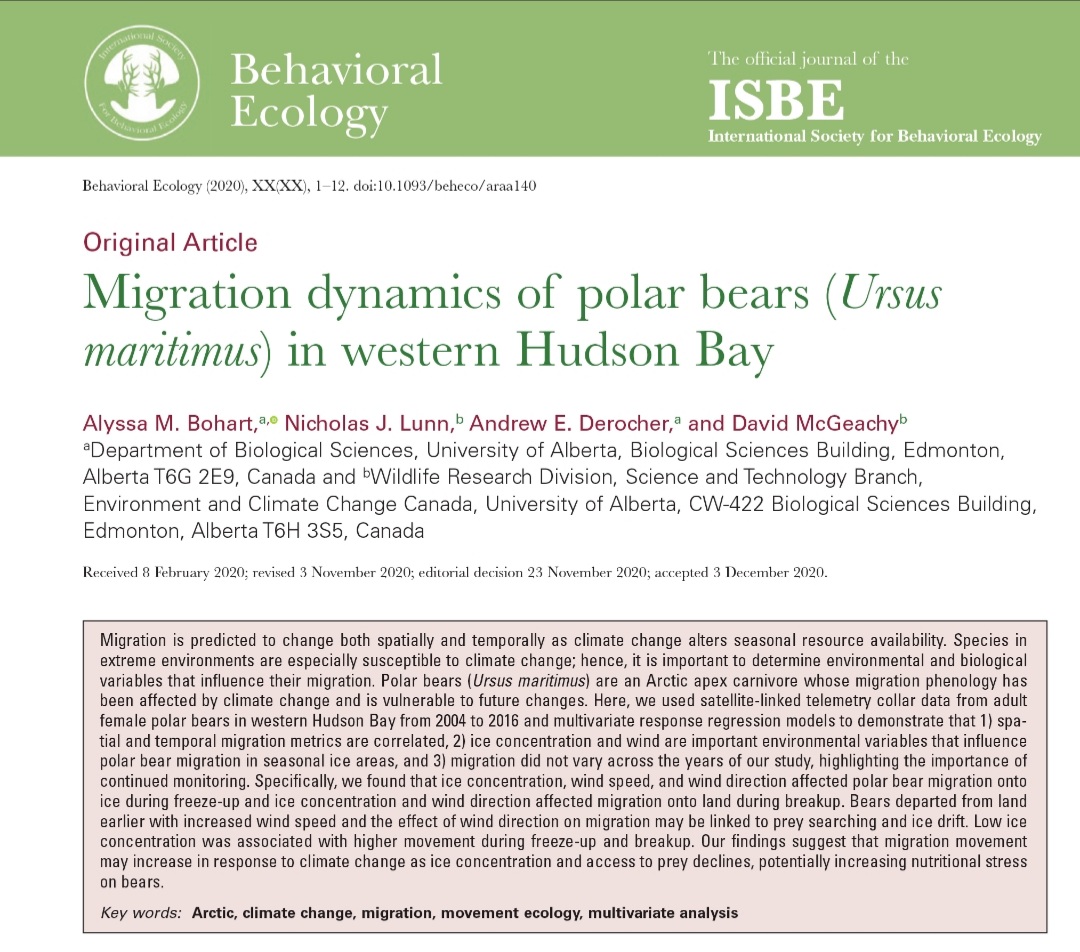 Very happy to have my first lead-author paper in the world! Infographic soon to follow! #behaviorecology #migrationstudy #polarecology #polarscience #polarbear