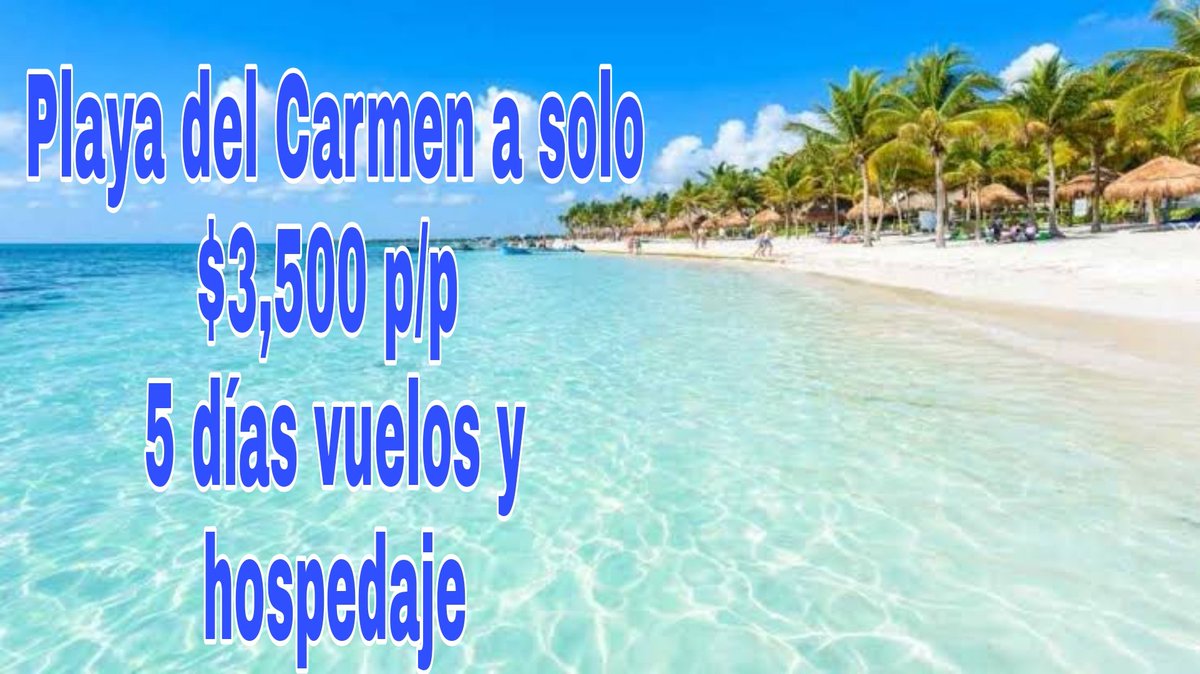 TradventureMx's tweet photo. #playadelcarmen #RivieraMaya #viajeseconomicos https://t.co/UU5pYbDrYB