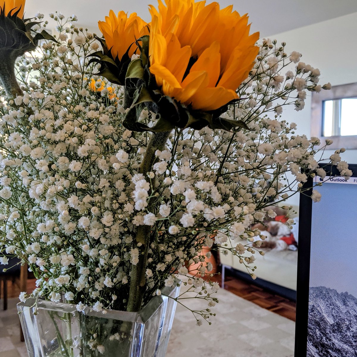 someone brought me flowers 🙂