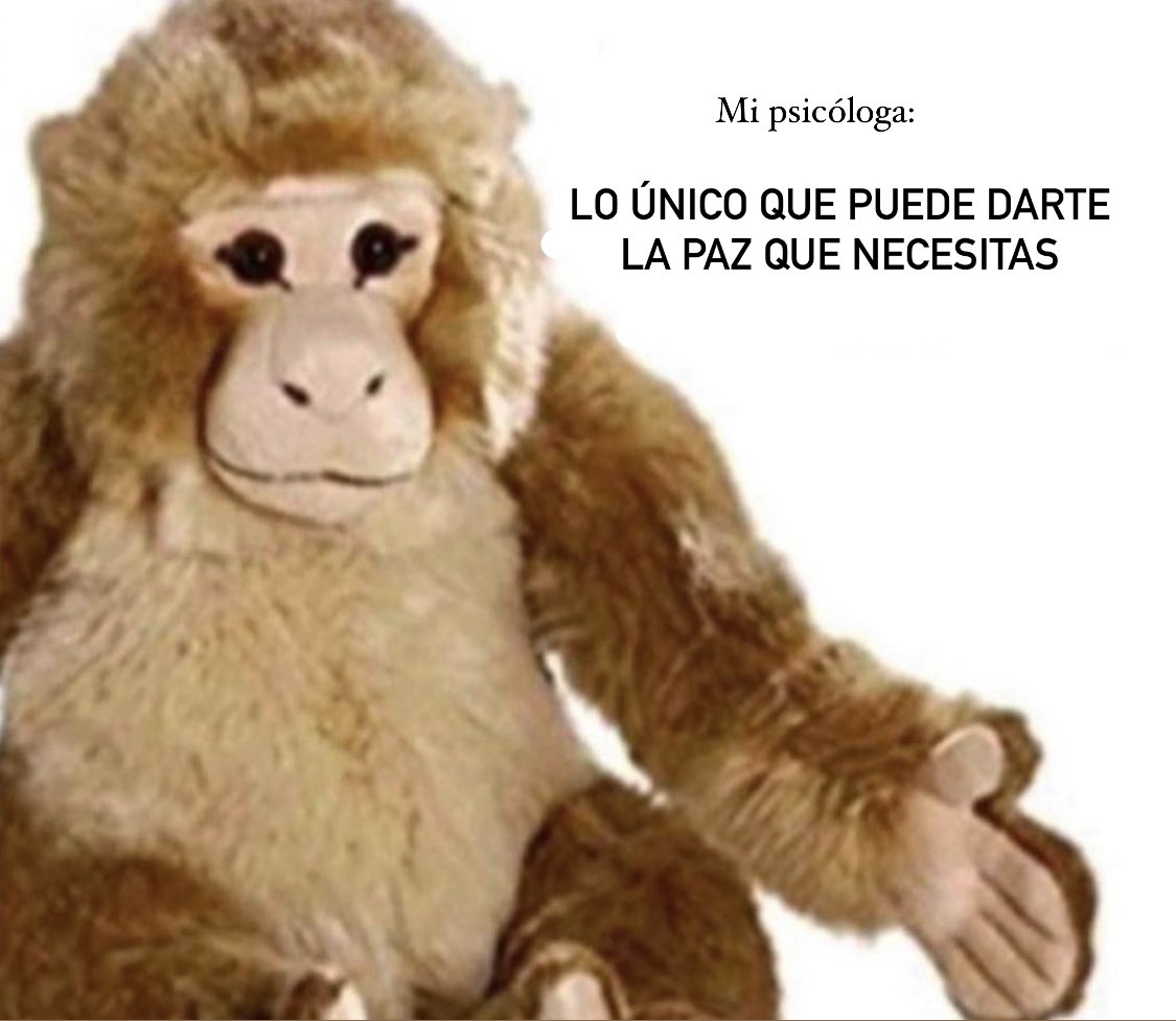UnTalFredo tweet media