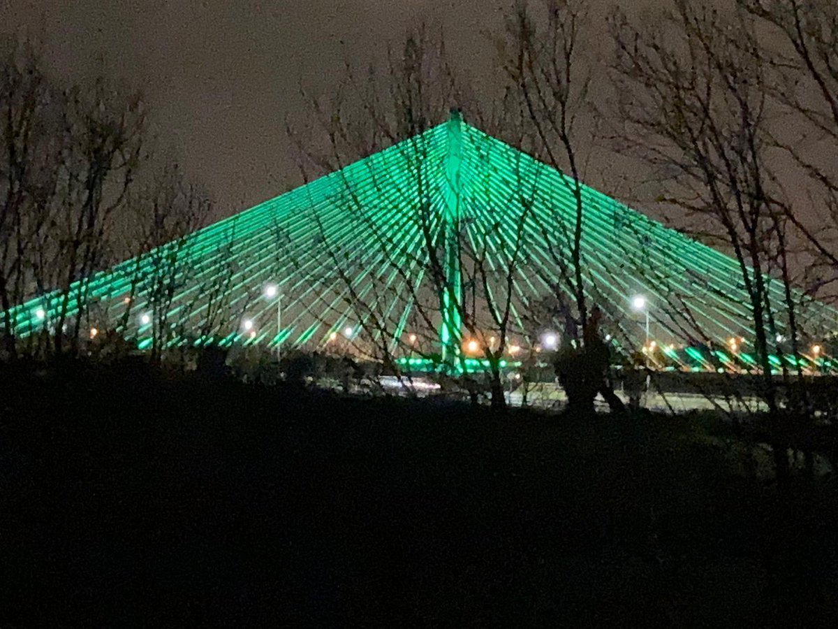 errigalinc's tweet photo. Great photo of the Waterford Suir Bridge tonight - Waterford is going green for St Patrick's Day☘️☘️#waterford #StPatricksDay  @WaterfordCounci @WACCchamber @errigalinc @TourismIreland #GlobalGreening https://t.co/PWYG5XfPKF