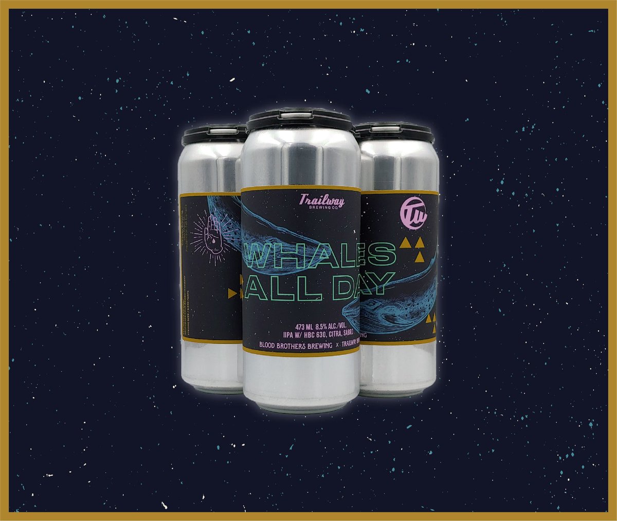 Trailway Brewing Co. tweet media