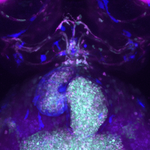 Photo by CU DevBio PostDocs (@DevBioPostDocs)