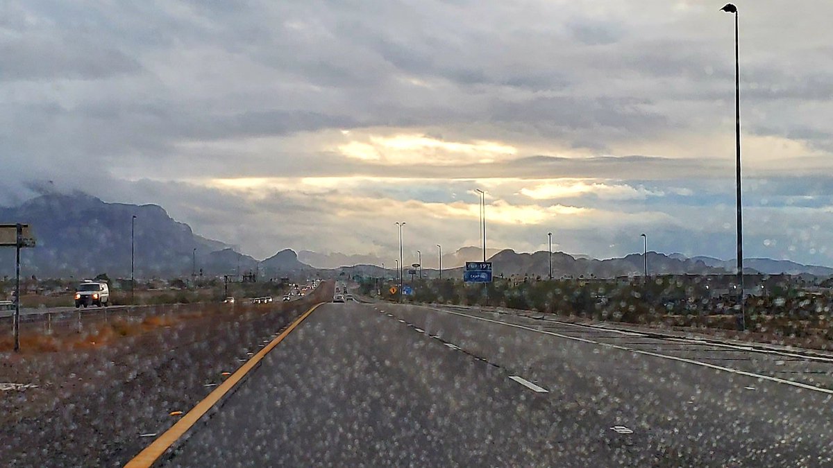 TbBrame's tweet photo. Early morning trip to Superior, AZ in the rain. Hitting up @BoyceThompson for their #SpringPlantSale 😁🌵
#Arizona
#PlantyStuffs https://t.co/zyFT8uxbo8