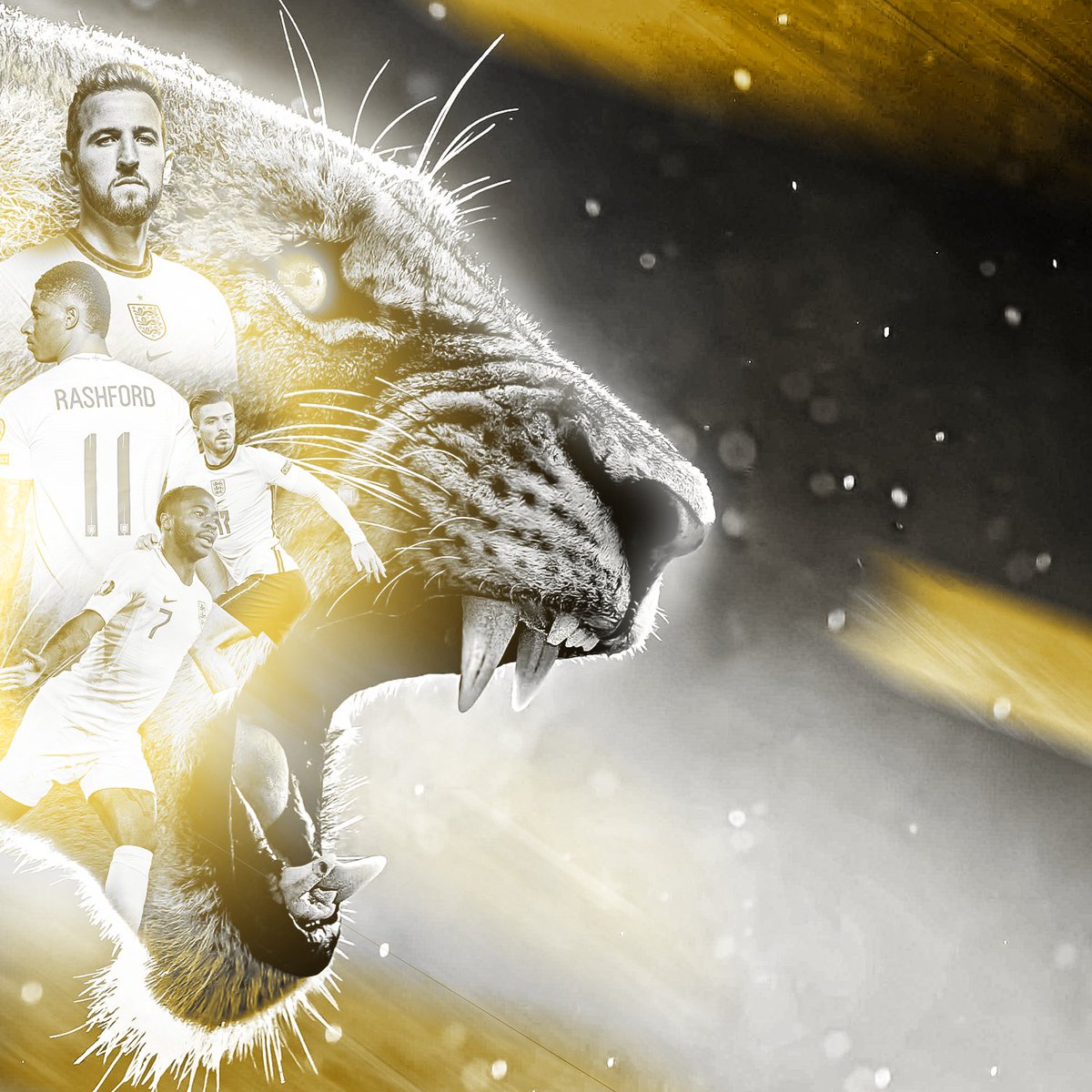 OneDesignMedia's tweet image. 'The Golden Lions' @England ⚽️
