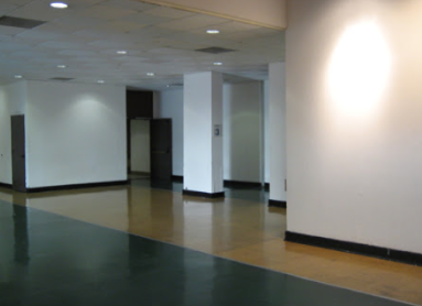 Roy Berardo | Follow me on Bluesky! tweet media